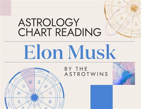 elon musk 八字|Birth chart of Elon Musk